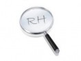 Formação de Analista de RH